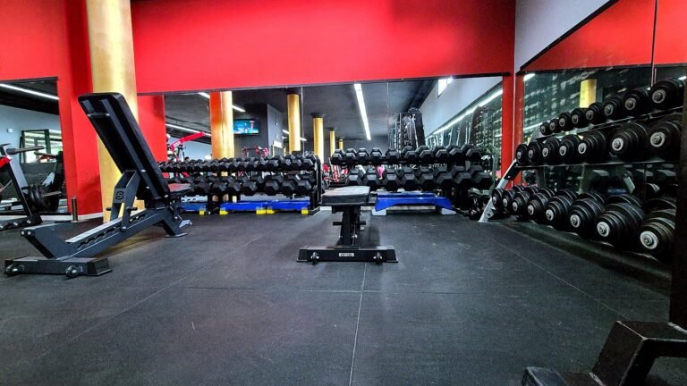 gimnasio_panorama_04