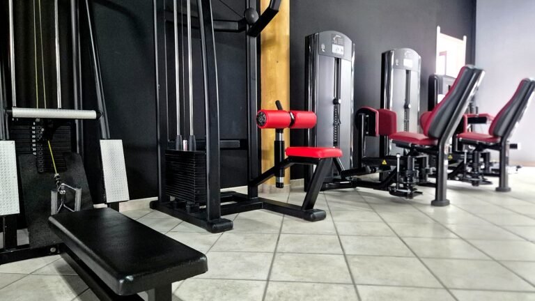 gimnasio_panorama_08